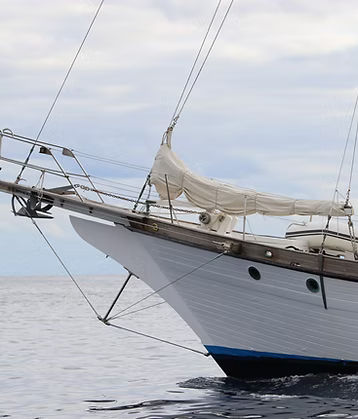 Sailing Experience